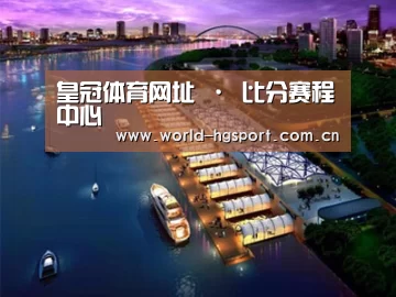 案例展示八