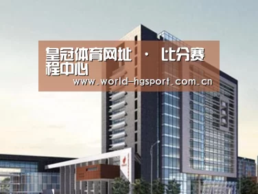 案例展示七