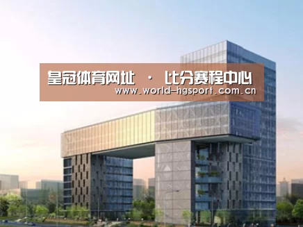 案例展示四