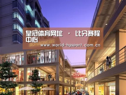 案例展示一