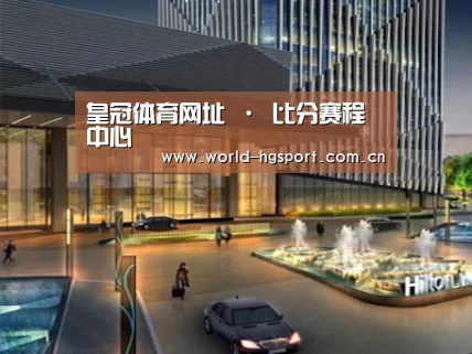 案例展示二