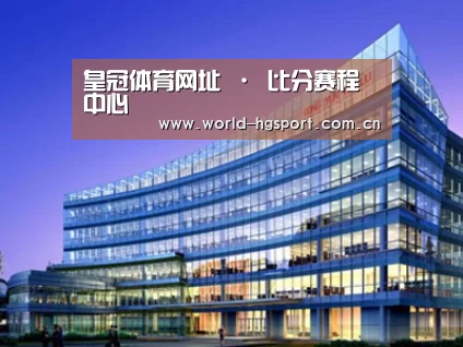 案例展示五