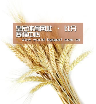 皇冠体育网址 · 比分赛程中心
