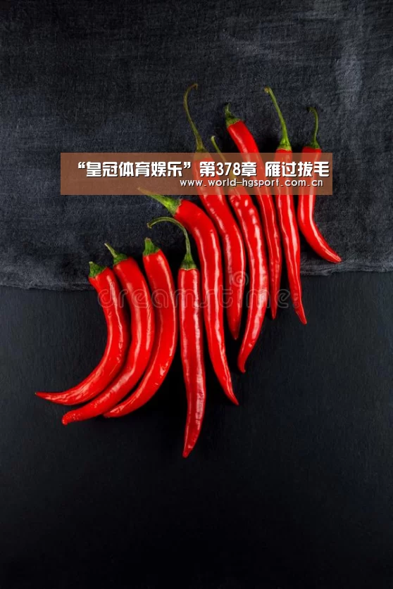 皇冠体育娱乐