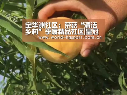 皇冠体育
