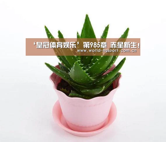 ‘皇冠体育娱乐’第985章 赤星新生!(图2) 皇冠体育娱乐