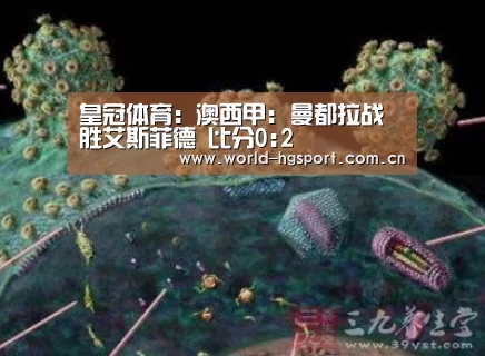 皇冠体育:澳西甲: 曼都拉战胜艾斯菲德 比分0:2(图1) 皇冠体育娱乐